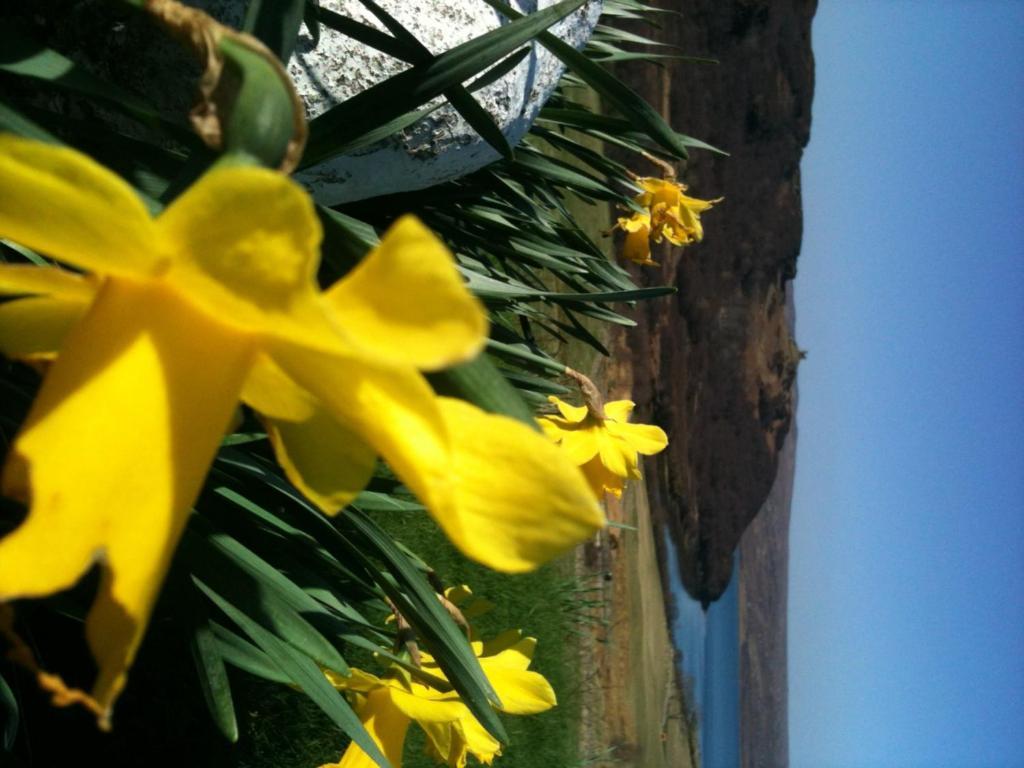 Ben Loyal Hotel Tongue Dış mekan fotoğraf