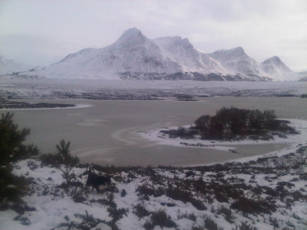 Ben Loyal Hotel Tongue Dış mekan fotoğraf